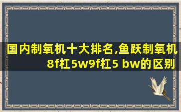 国内制氧机十大排名,鱼跃制氧机8f杠5w9f杠5 bw的区别